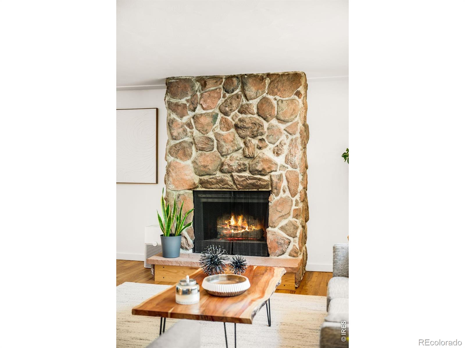 MLS Image #3 for 1417  sharpe place,longmont, Colorado