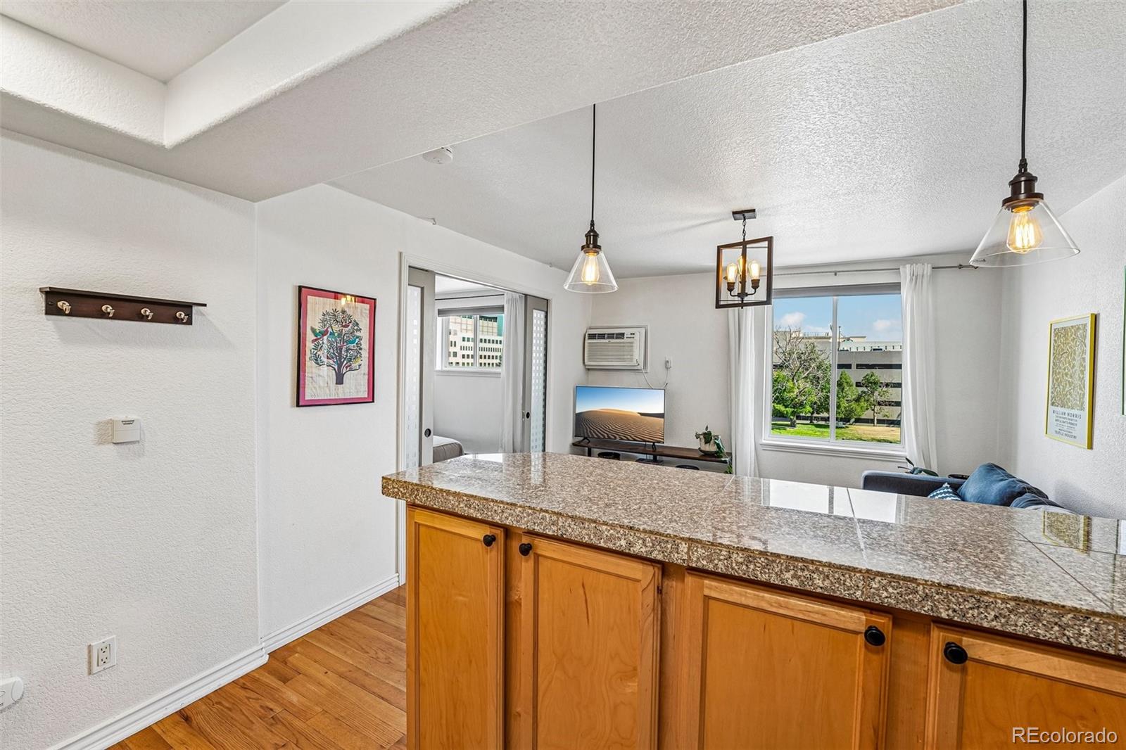 MLS Image #12 for 1833 n williams street,denver, Colorado