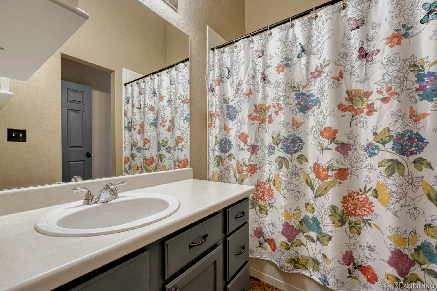 MLS Image #18 for 2017 s fundy court,aurora, Colorado