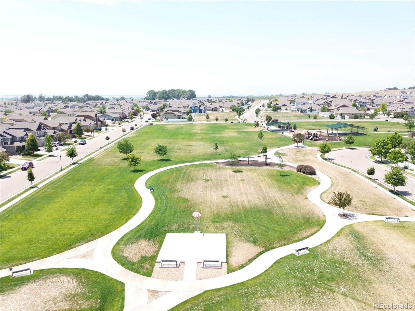 MLS Image #17 for 331  torreys drive,windsor, Colorado
