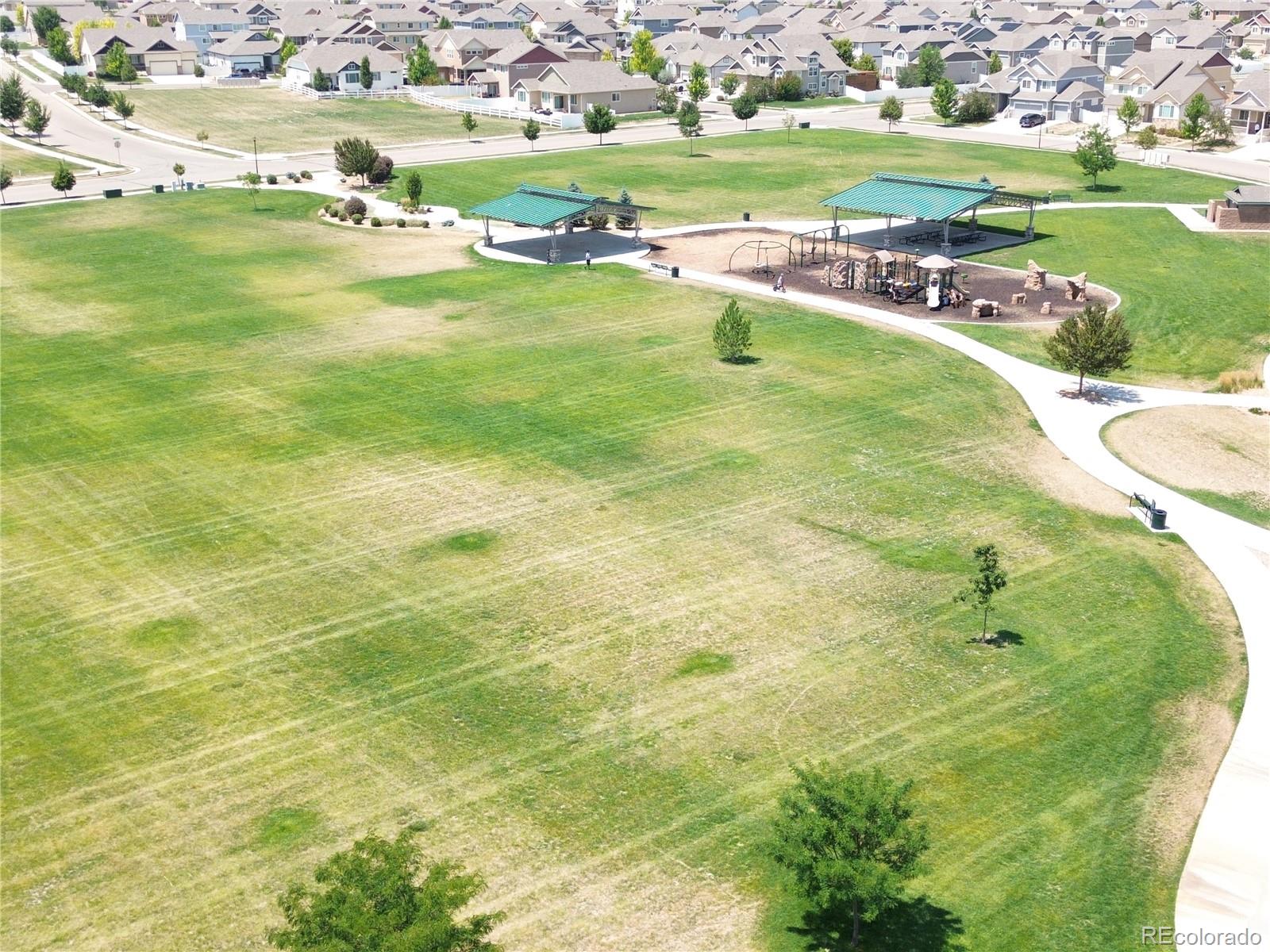 MLS Image #18 for 331  torreys drive,windsor, Colorado