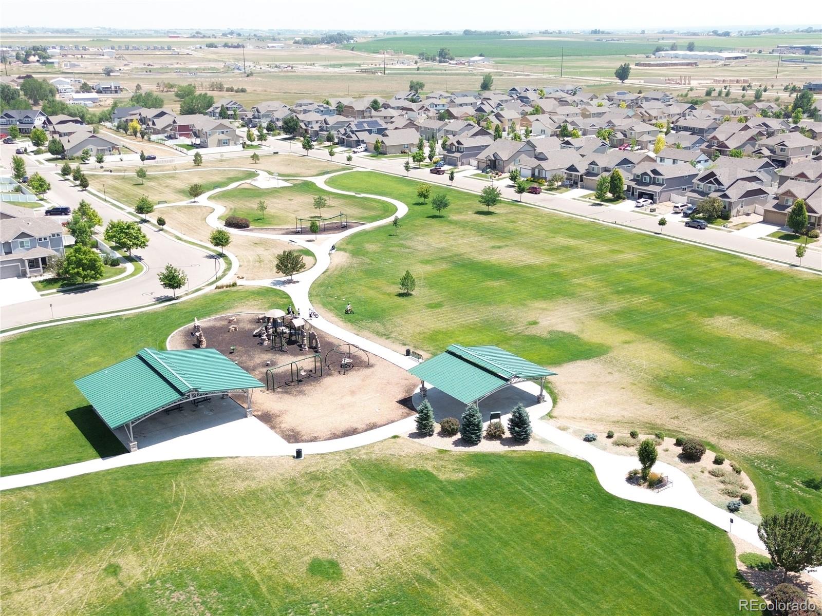 MLS Image #19 for 331  torreys drive,windsor, Colorado
