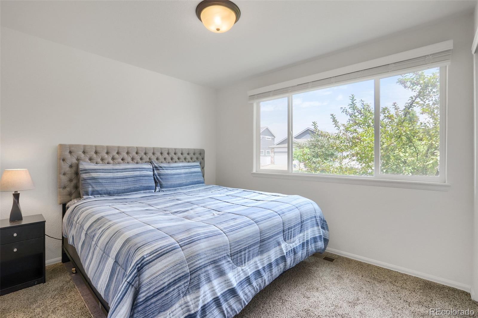 MLS Image #8 for 331  torreys drive,windsor, Colorado