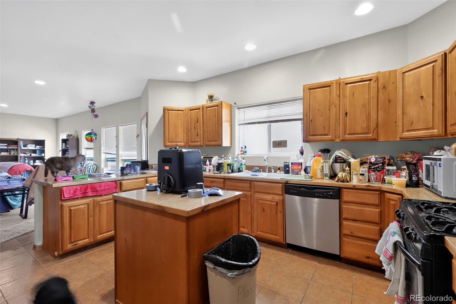 MLS Image #10 for 17610  starlight court,montrose, Colorado