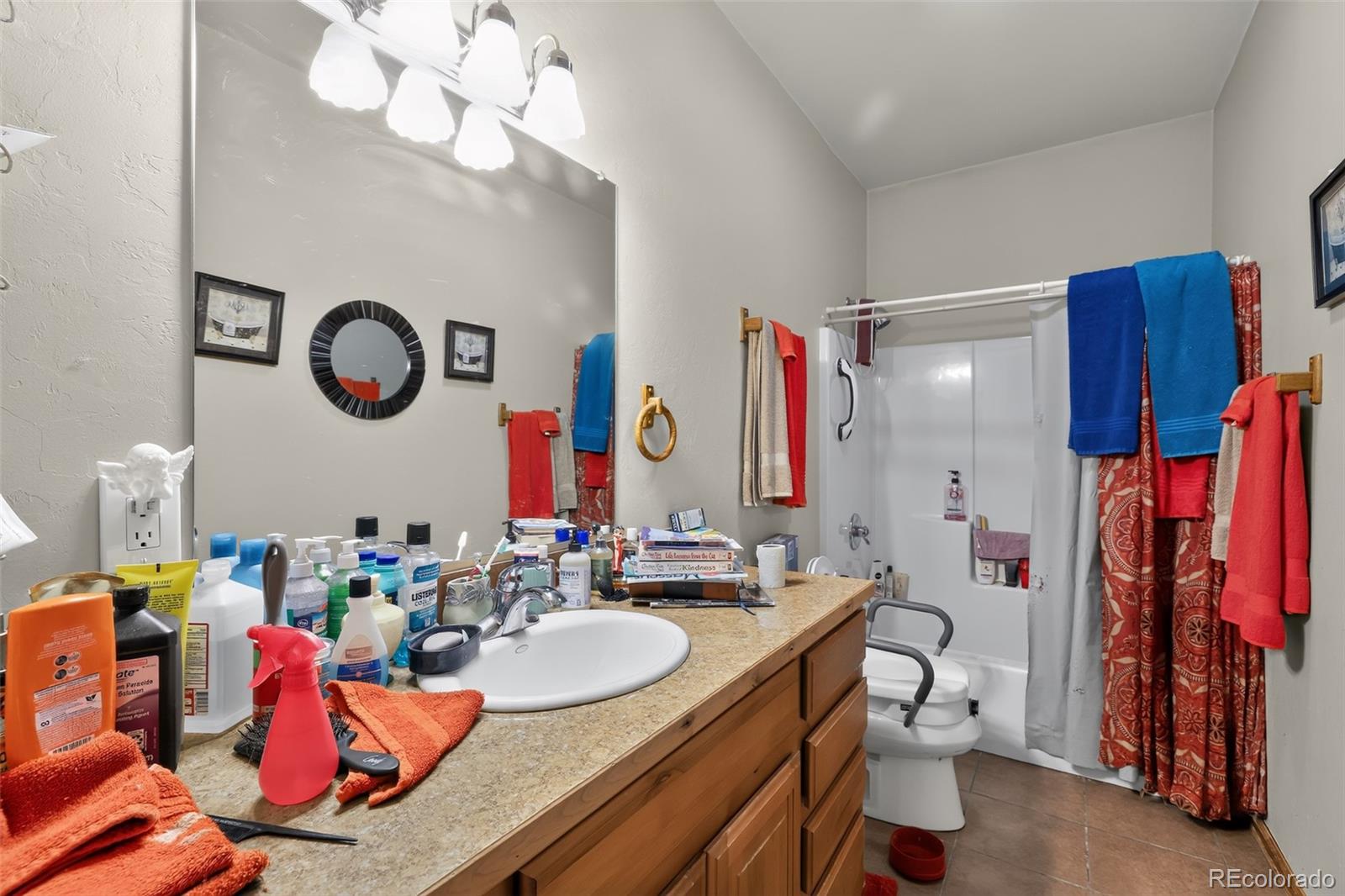 MLS Image #13 for 17610  starlight court,montrose, Colorado