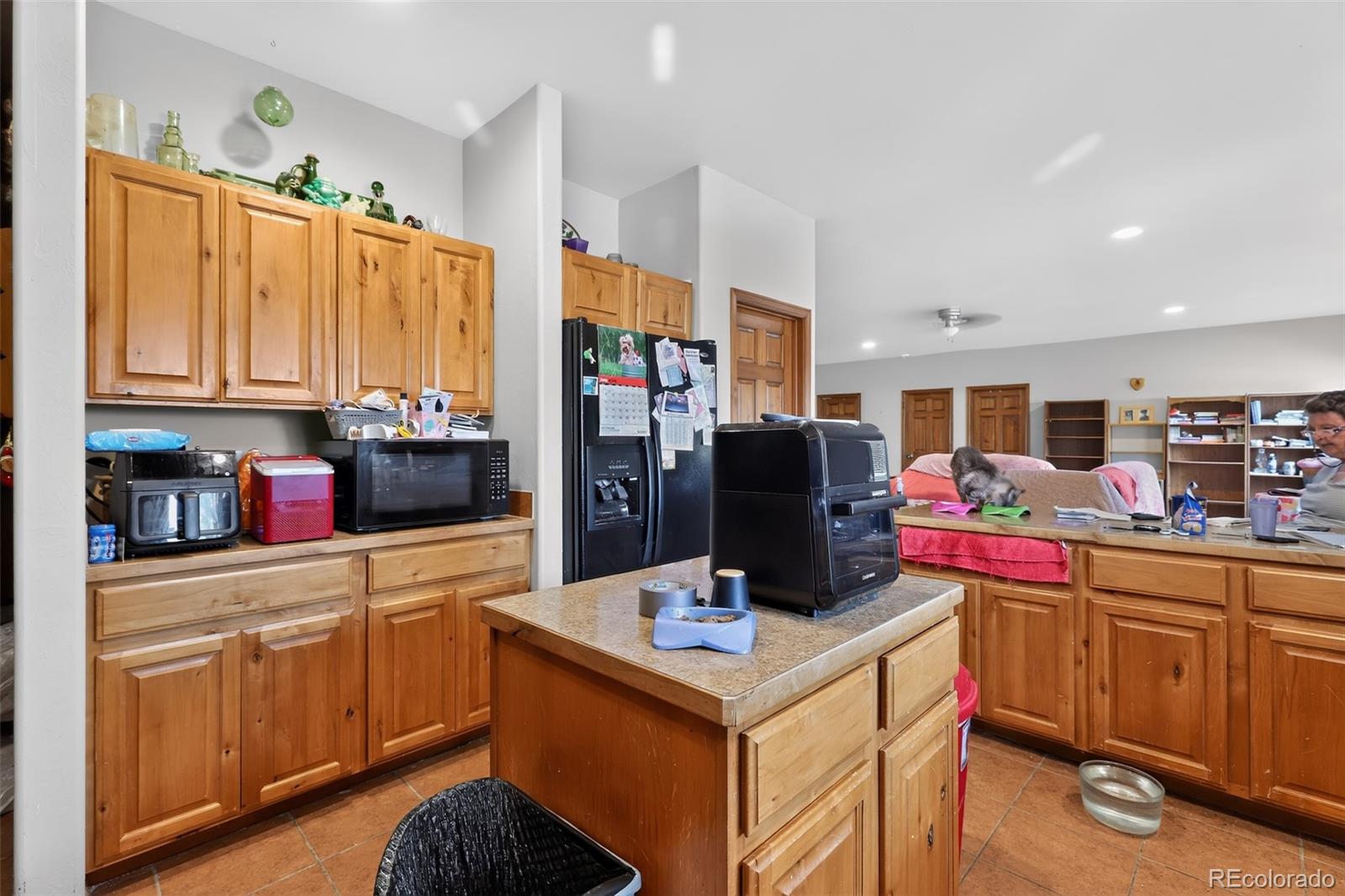 MLS Image #9 for 17610  starlight court,montrose, Colorado