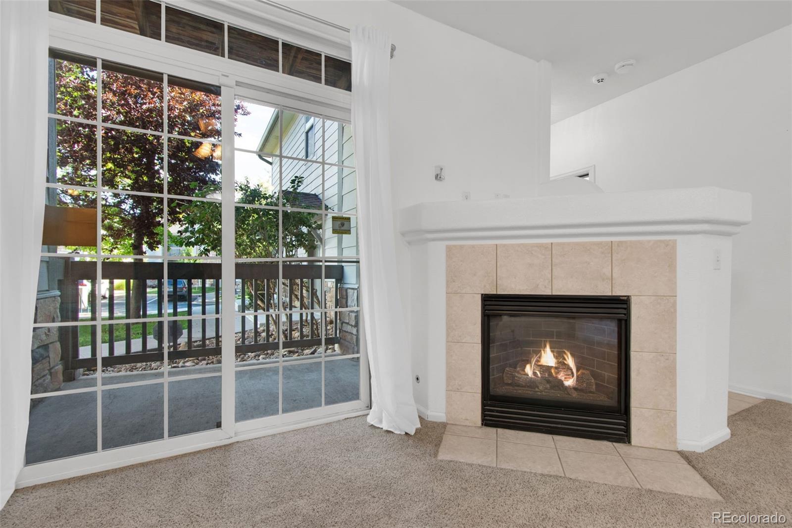 MLS Image #9 for 3262 e 103rd drive,denver, Colorado