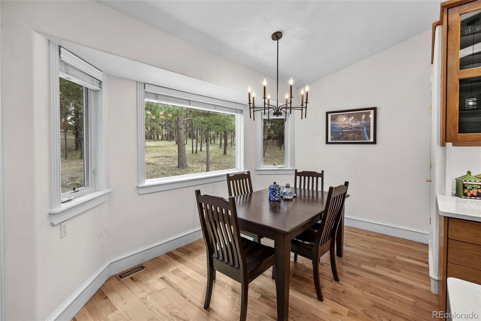 MLS Image #17 for 4882  antelope trail,elbert, Colorado