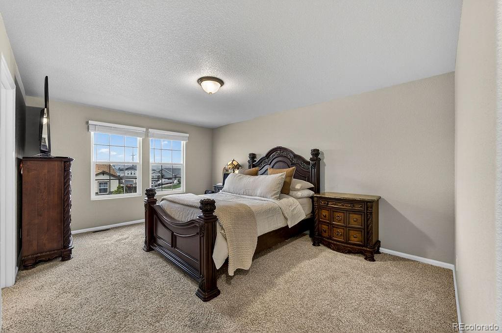 MLS Image #17 for 10087  beckham street,peyton, Colorado