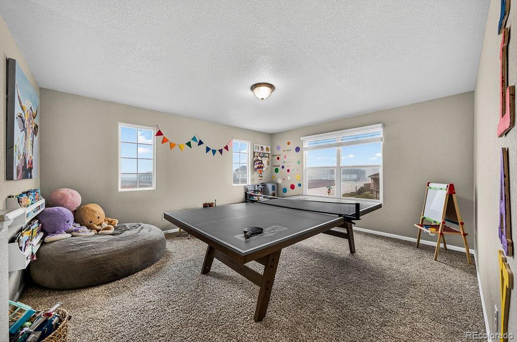 MLS Image #25 for 10087  beckham street,peyton, Colorado