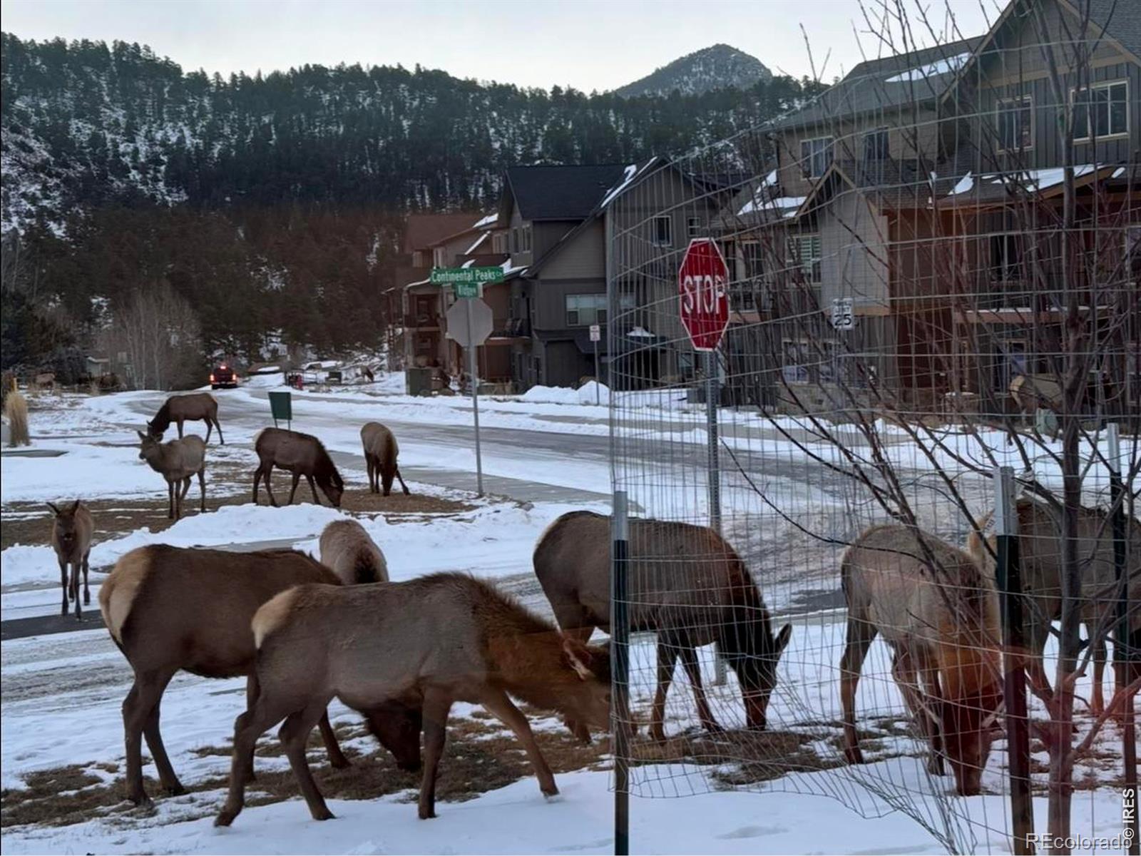 MLS Image #40 for 1728  continental peaks circle,estes park, Colorado