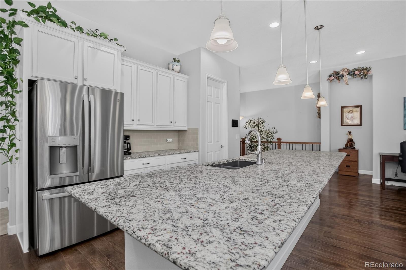 MLS Image #11 for 9828  eagle river street,littleton, Colorado