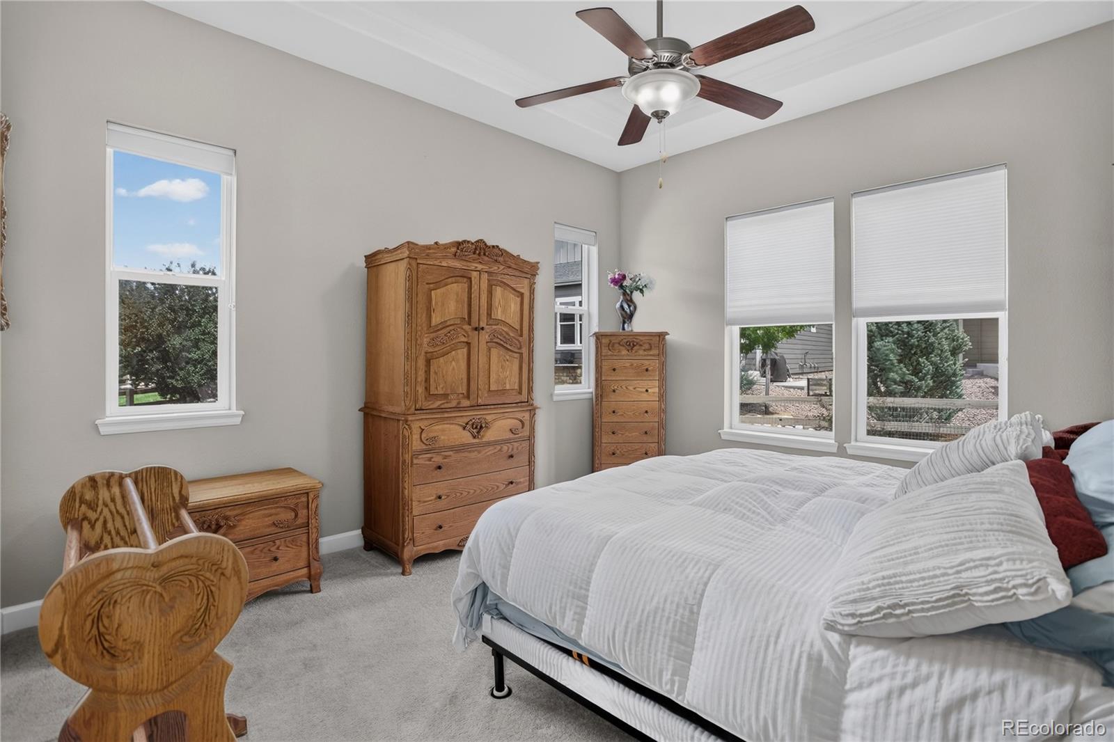MLS Image #16 for 9828  eagle river street,littleton, Colorado