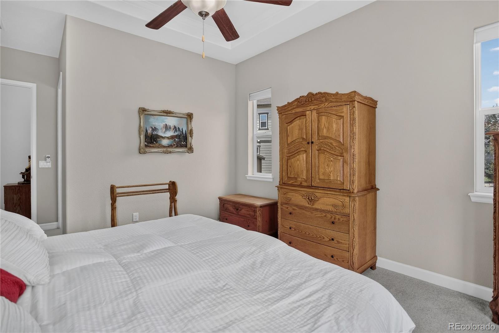 MLS Image #18 for 9828  eagle river street,littleton, Colorado