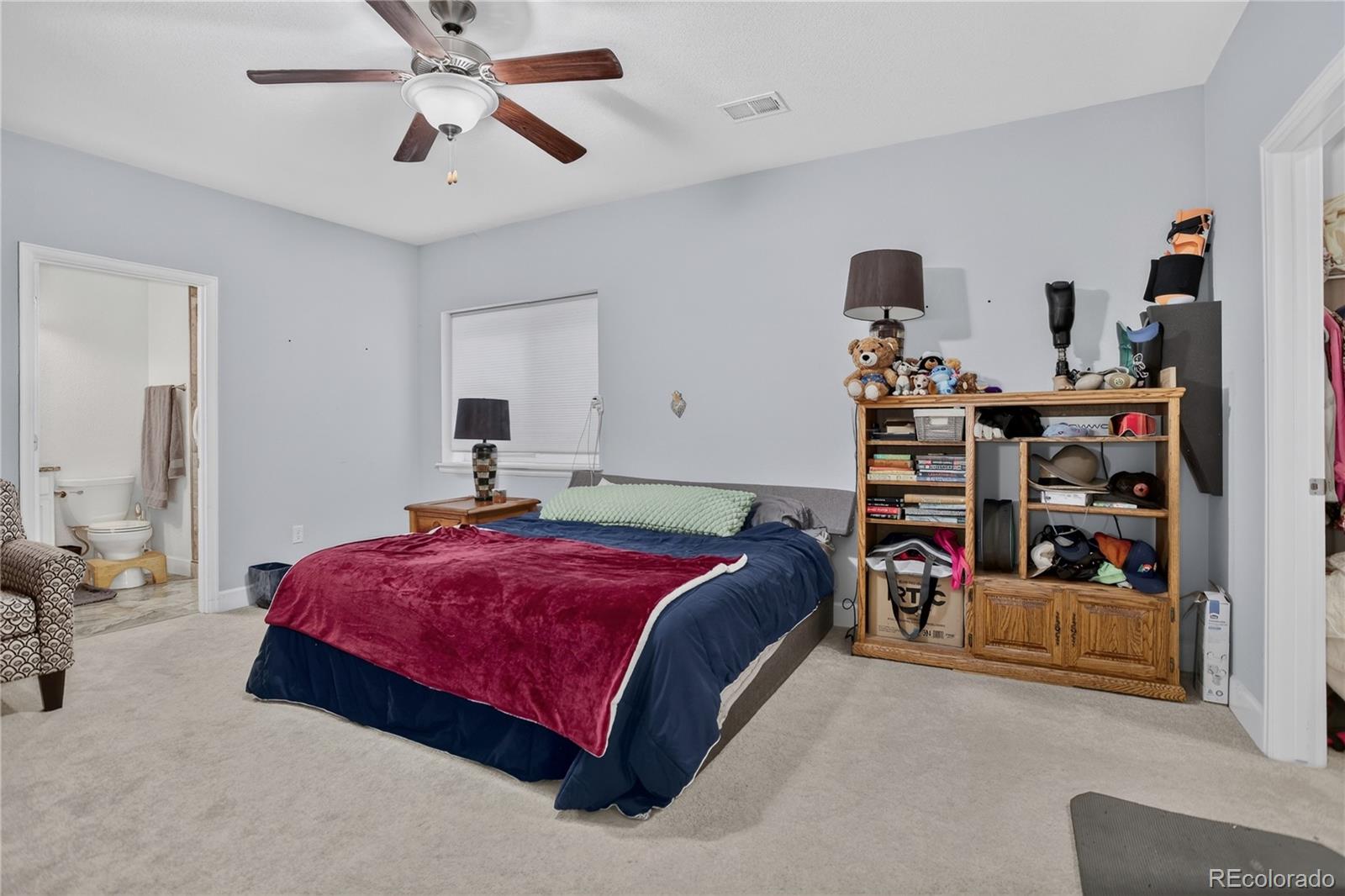 MLS Image #29 for 9828  eagle river street,littleton, Colorado