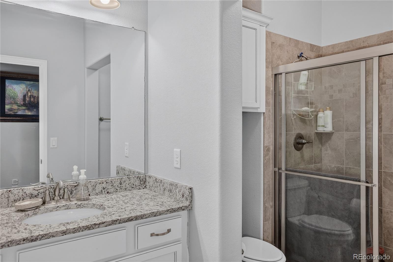 MLS Image #31 for 9828  eagle river street,littleton, Colorado