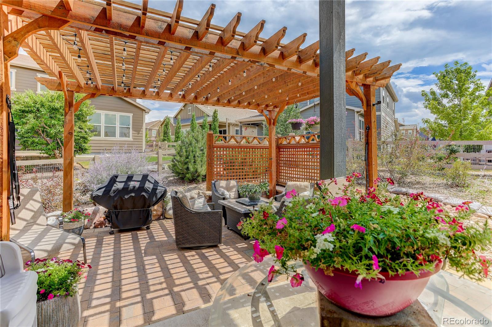 MLS Image #36 for 9828  eagle river street,littleton, Colorado