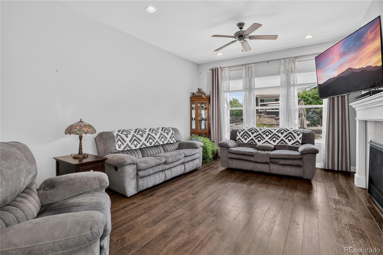 MLS Image #6 for 9828  eagle river street,littleton, Colorado