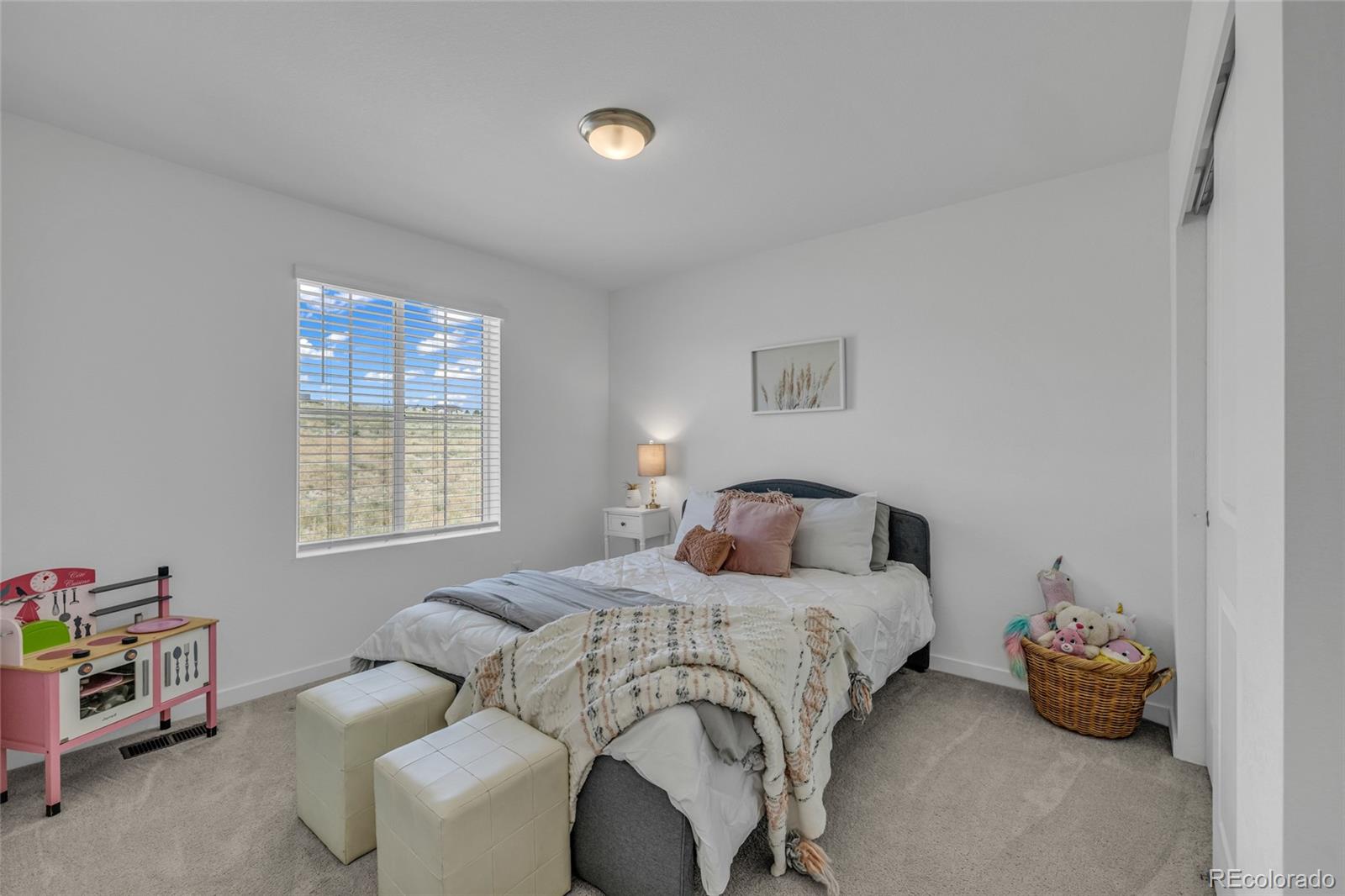 MLS Image #19 for 828  yankee boy loop,elizabeth, Colorado