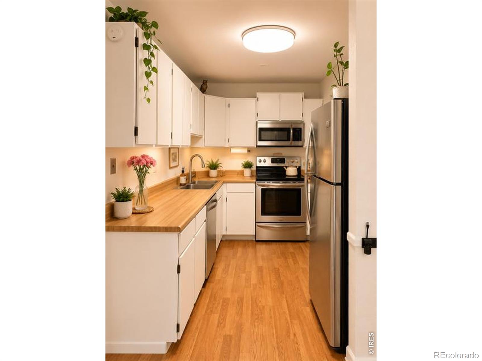 MLS Image #4 for 1919  lydia drive,lafayette, Colorado
