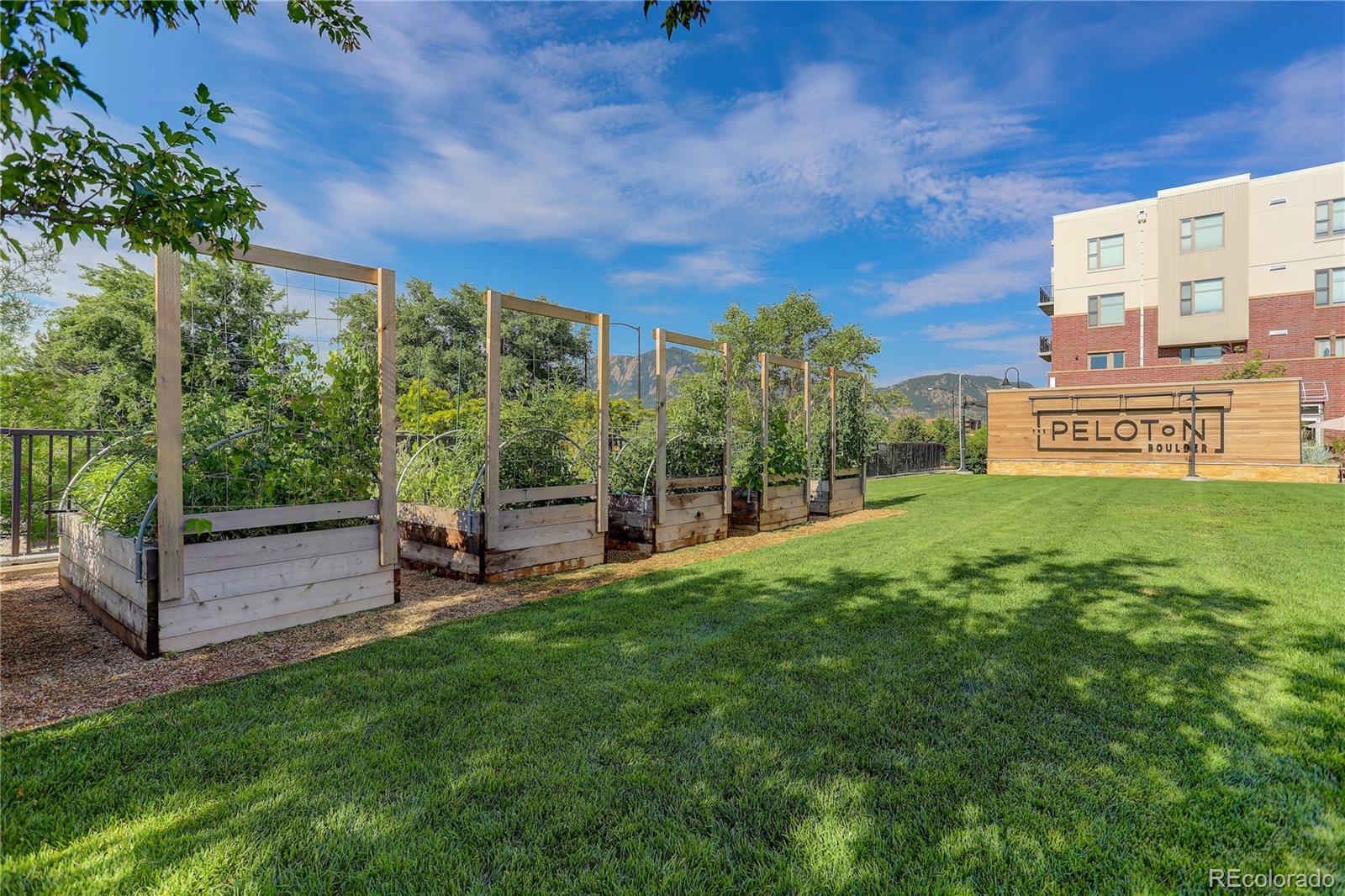 MLS Image #18 for 3601  arapahoe avenue,boulder, Colorado