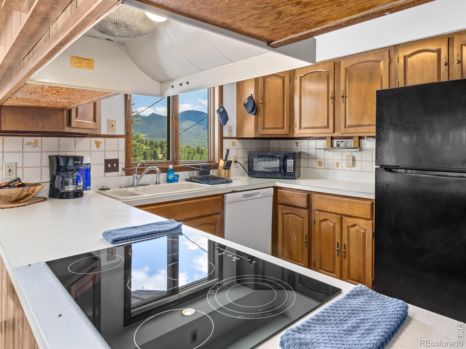 MLS Image #18 for 1820 n ridge lane,estes park, Colorado