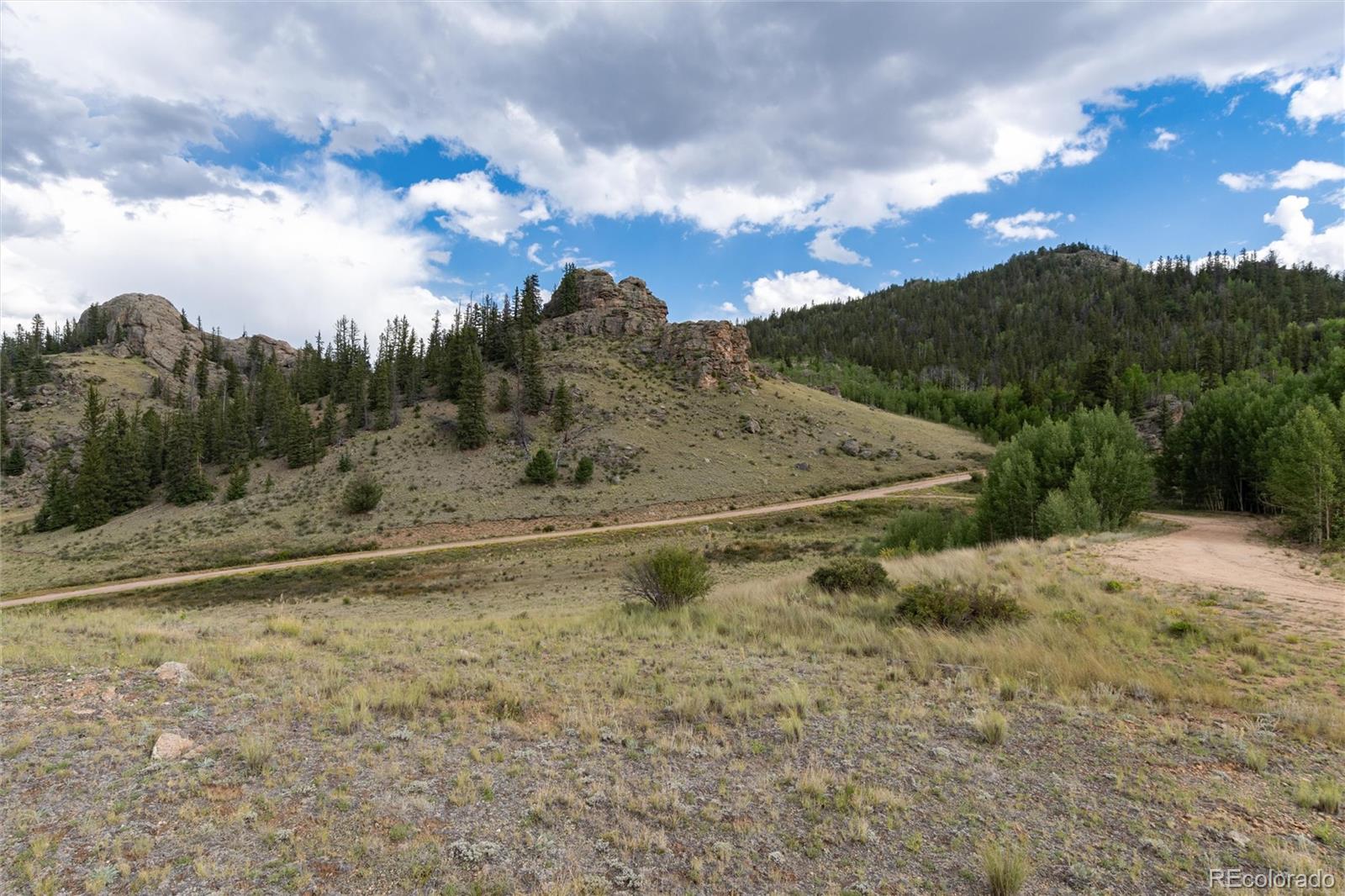MLS Image #12 for 63  welsh cob lane,como, Colorado