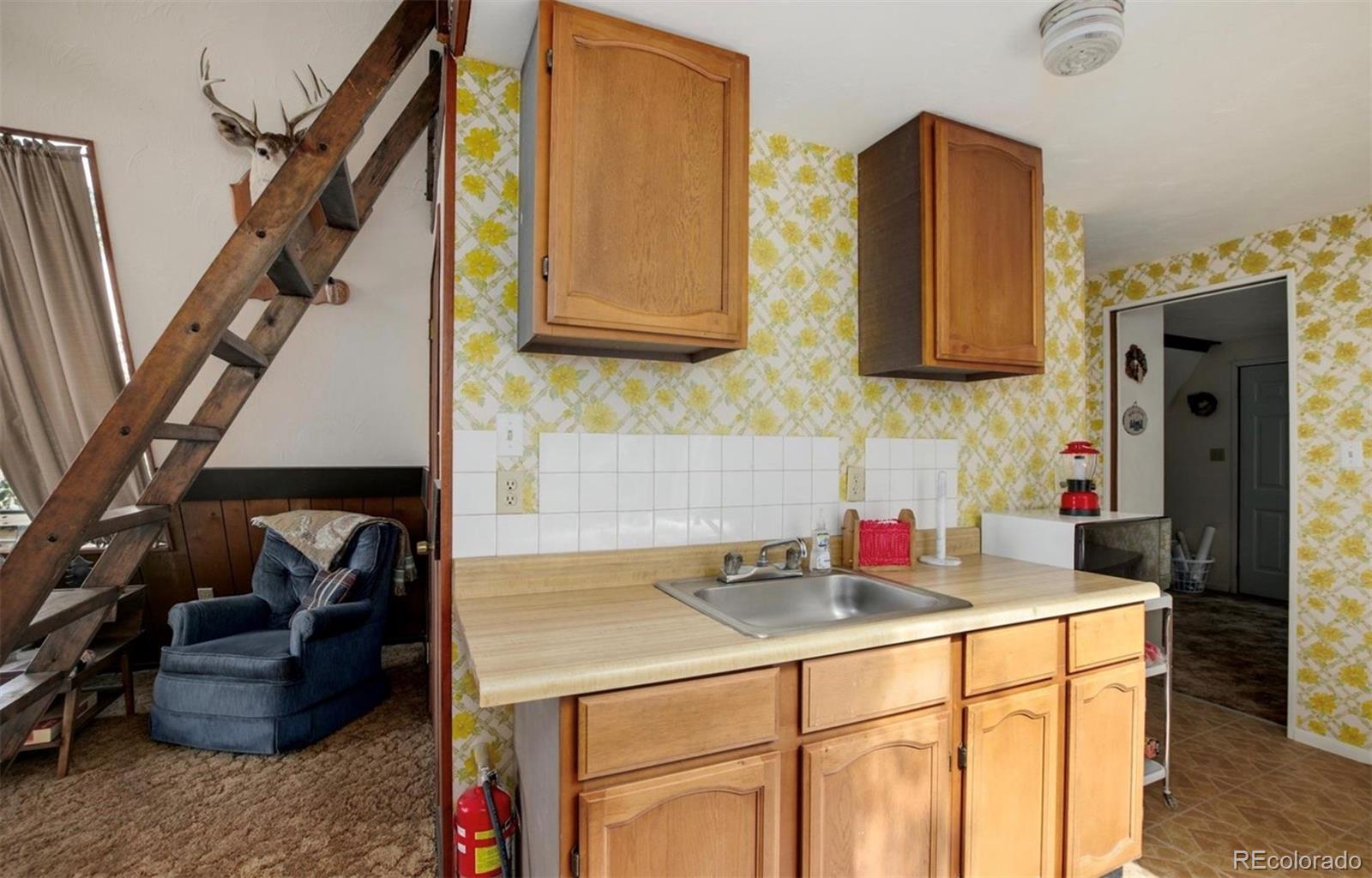 MLS Image #25 for 63  welsh cob lane,como, Colorado