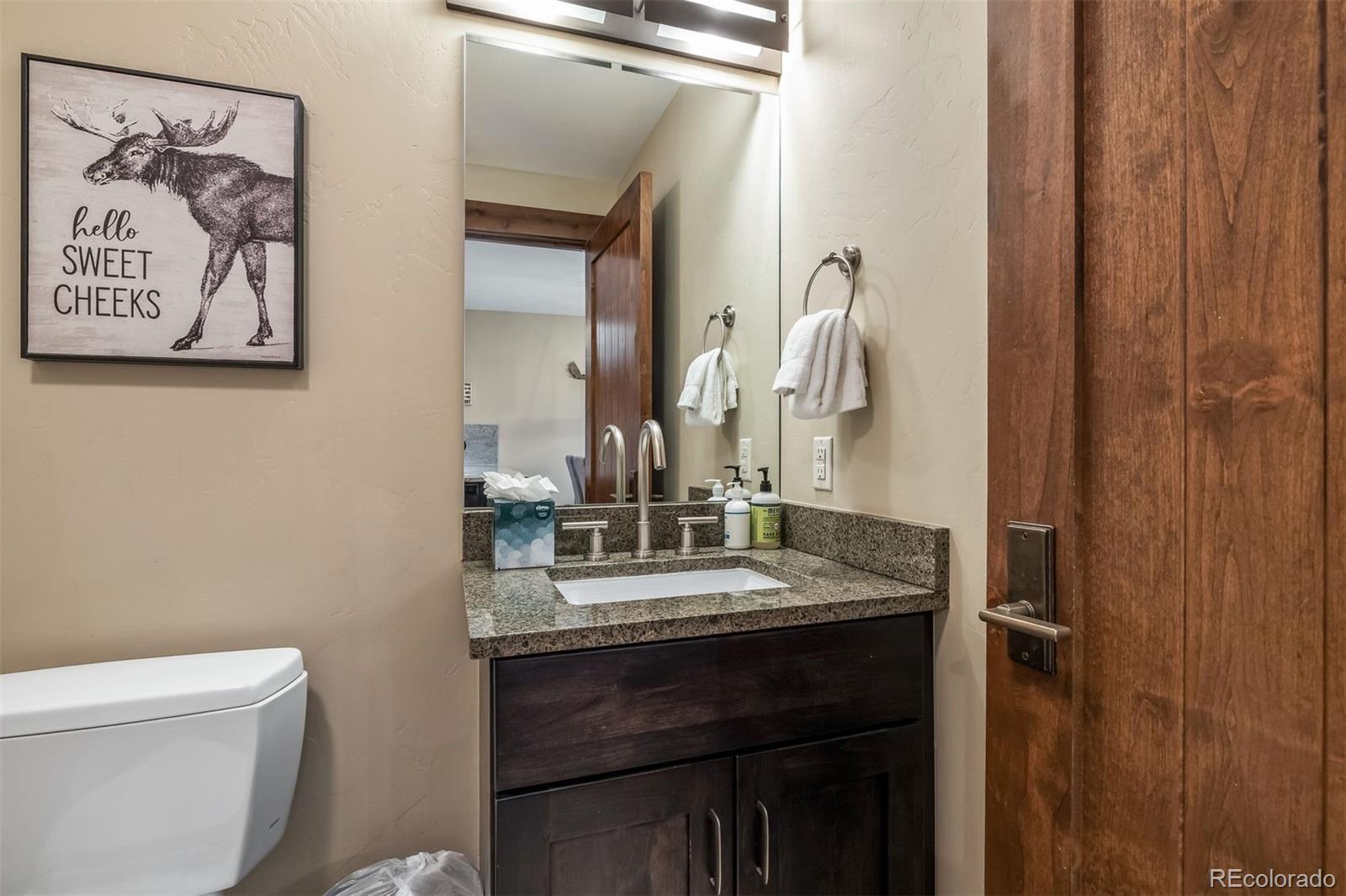 MLS Image #20 for 610  columbine road,breckenridge, Colorado