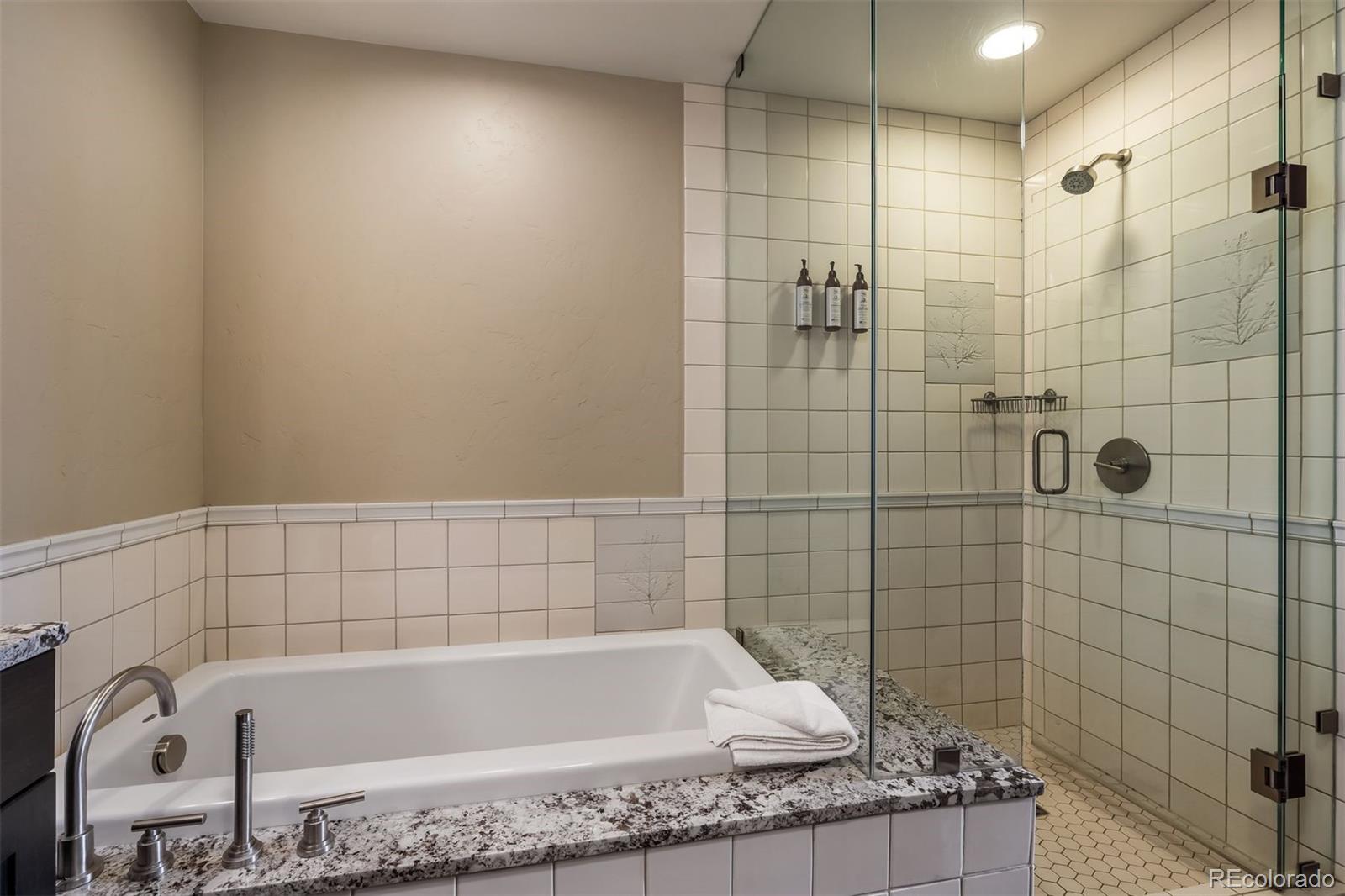 MLS Image #28 for 610  columbine road,breckenridge, Colorado