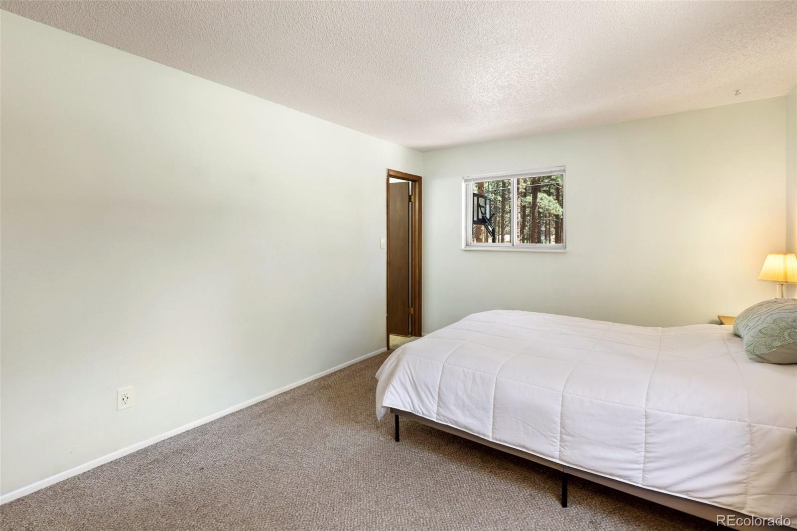 MLS Image #12 for 723 n center street,woodland park, Colorado