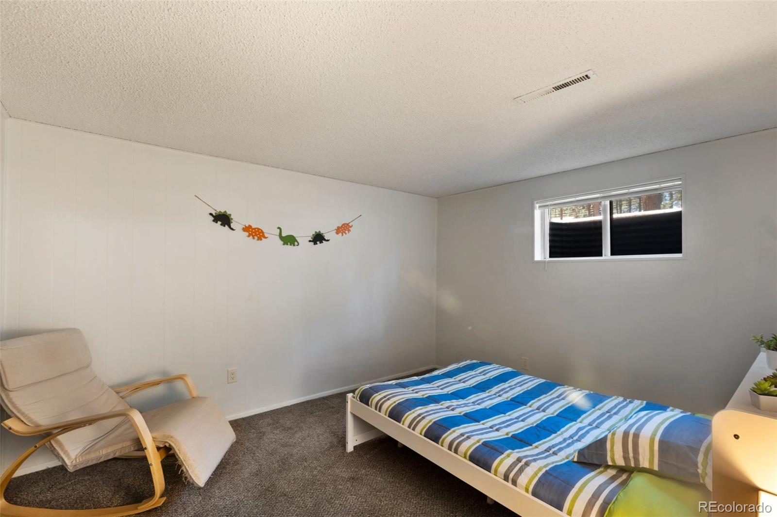 MLS Image #27 for 723 n center street,woodland park, Colorado