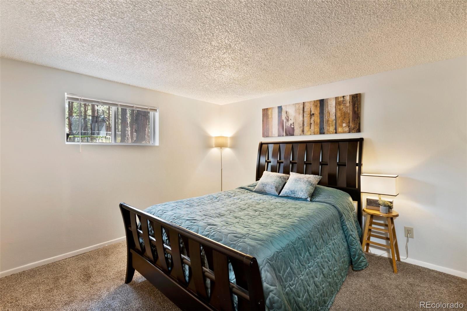 MLS Image #29 for 723 n center street,woodland park, Colorado