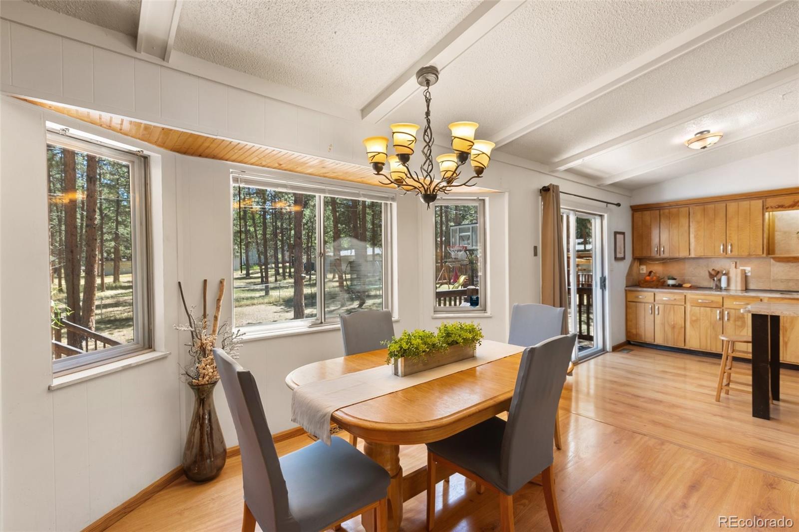 MLS Image #6 for 723 n center street,woodland park, Colorado