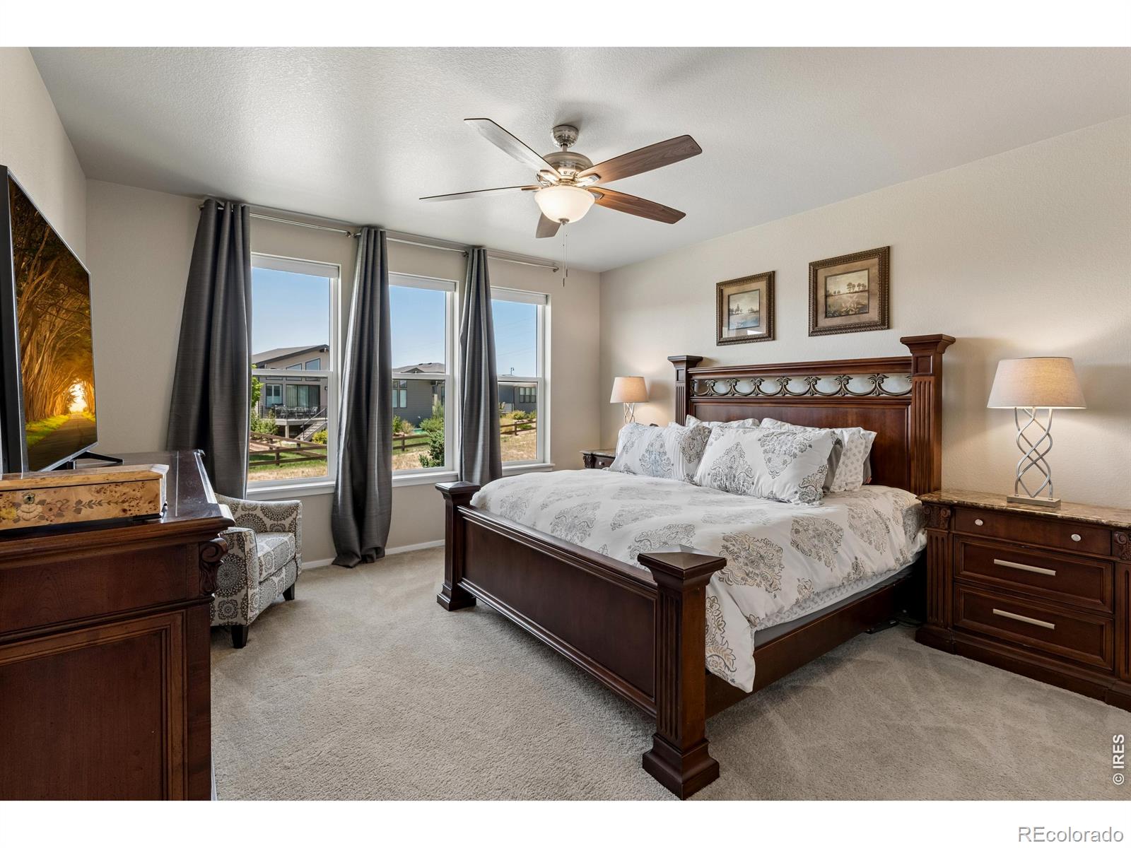 MLS Image #20 for 2703  vallecito street,timnath, Colorado
