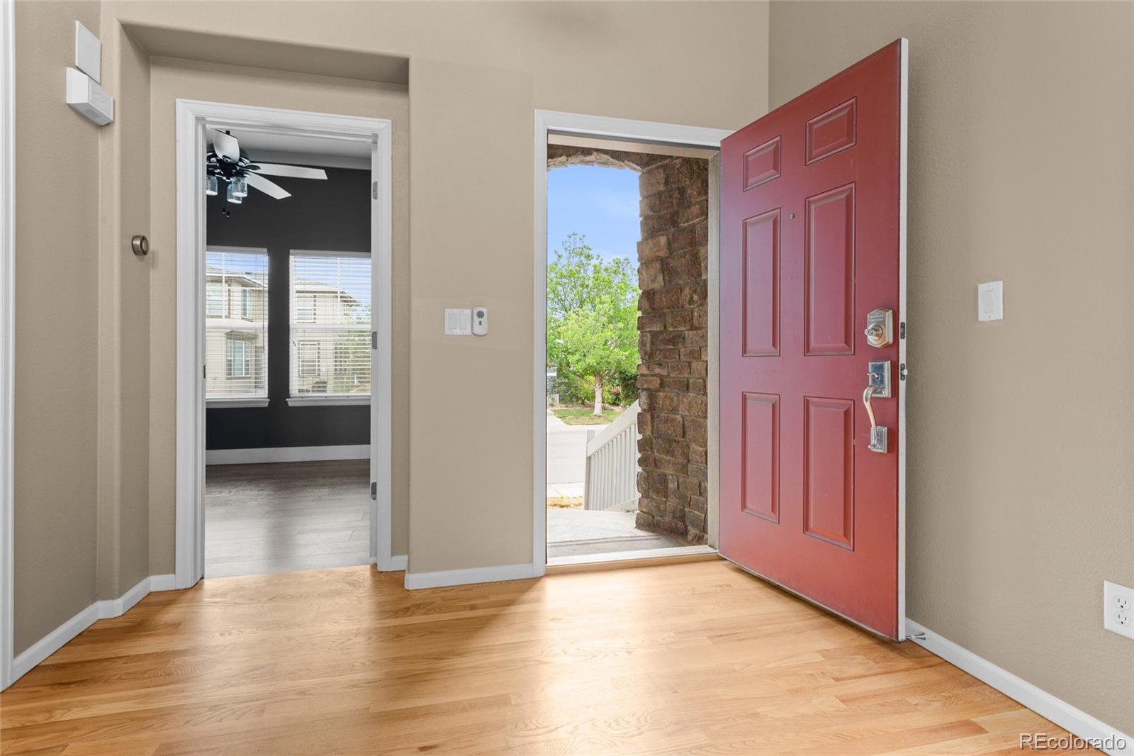 MLS Image #4 for 5460  jaguar way,littleton, Colorado