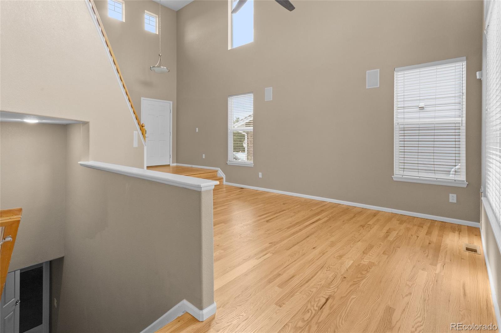 MLS Image #8 for 5460  jaguar way,littleton, Colorado