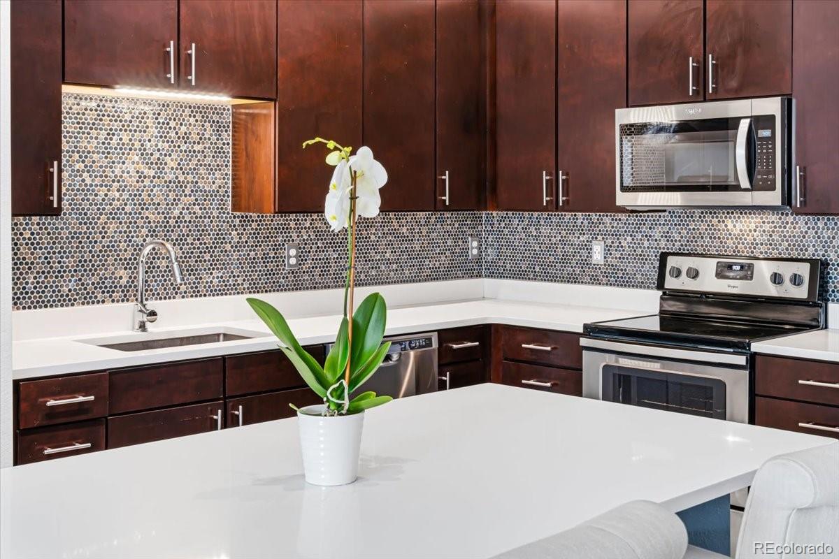 MLS Image #10 for 9220  wilde lane,parker, Colorado