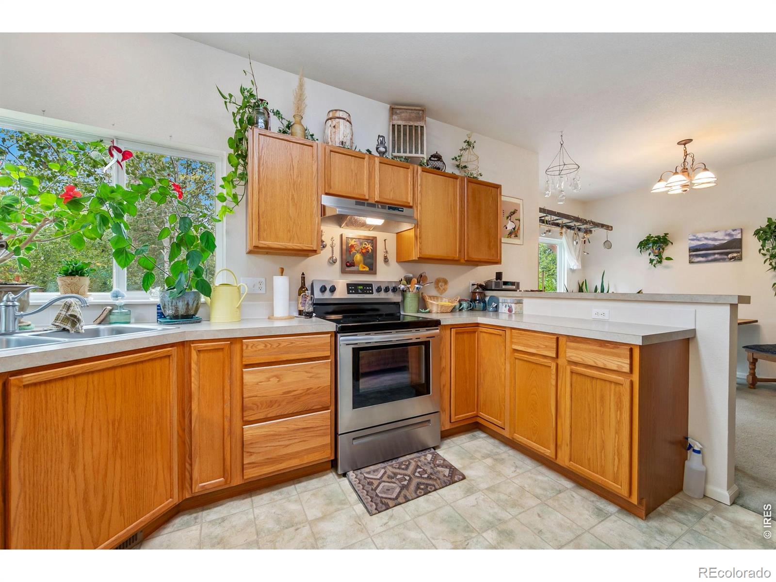 MLS Image #10 for 4153  divide drive,loveland, Colorado
