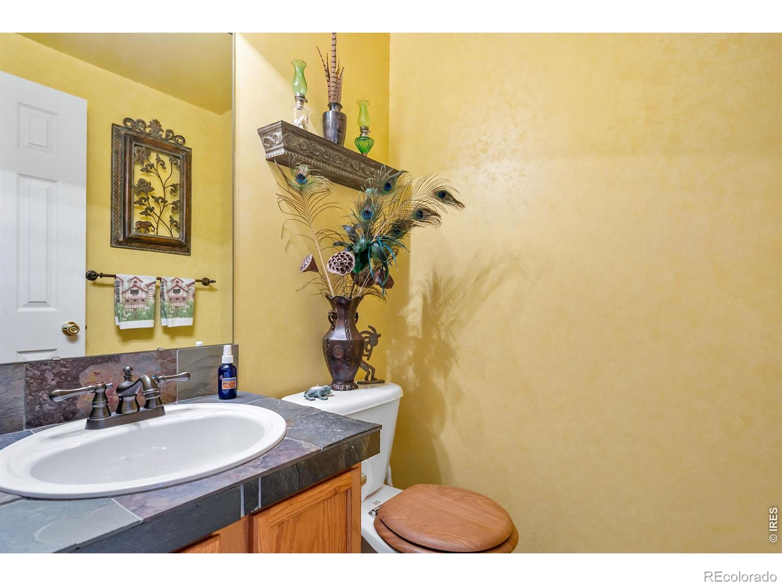 MLS Image #11 for 4153  divide drive,loveland, Colorado