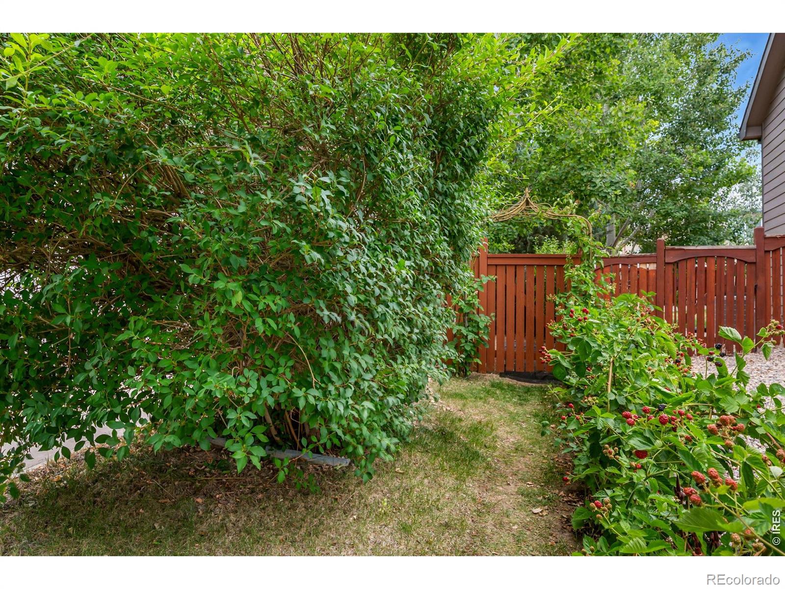 MLS Image #22 for 4153  divide drive,loveland, Colorado