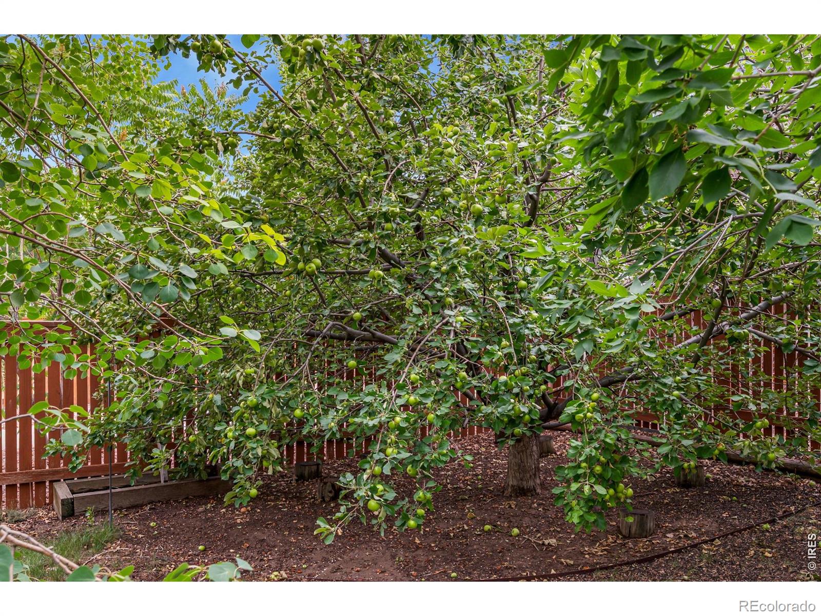 MLS Image #23 for 4153  divide drive,loveland, Colorado