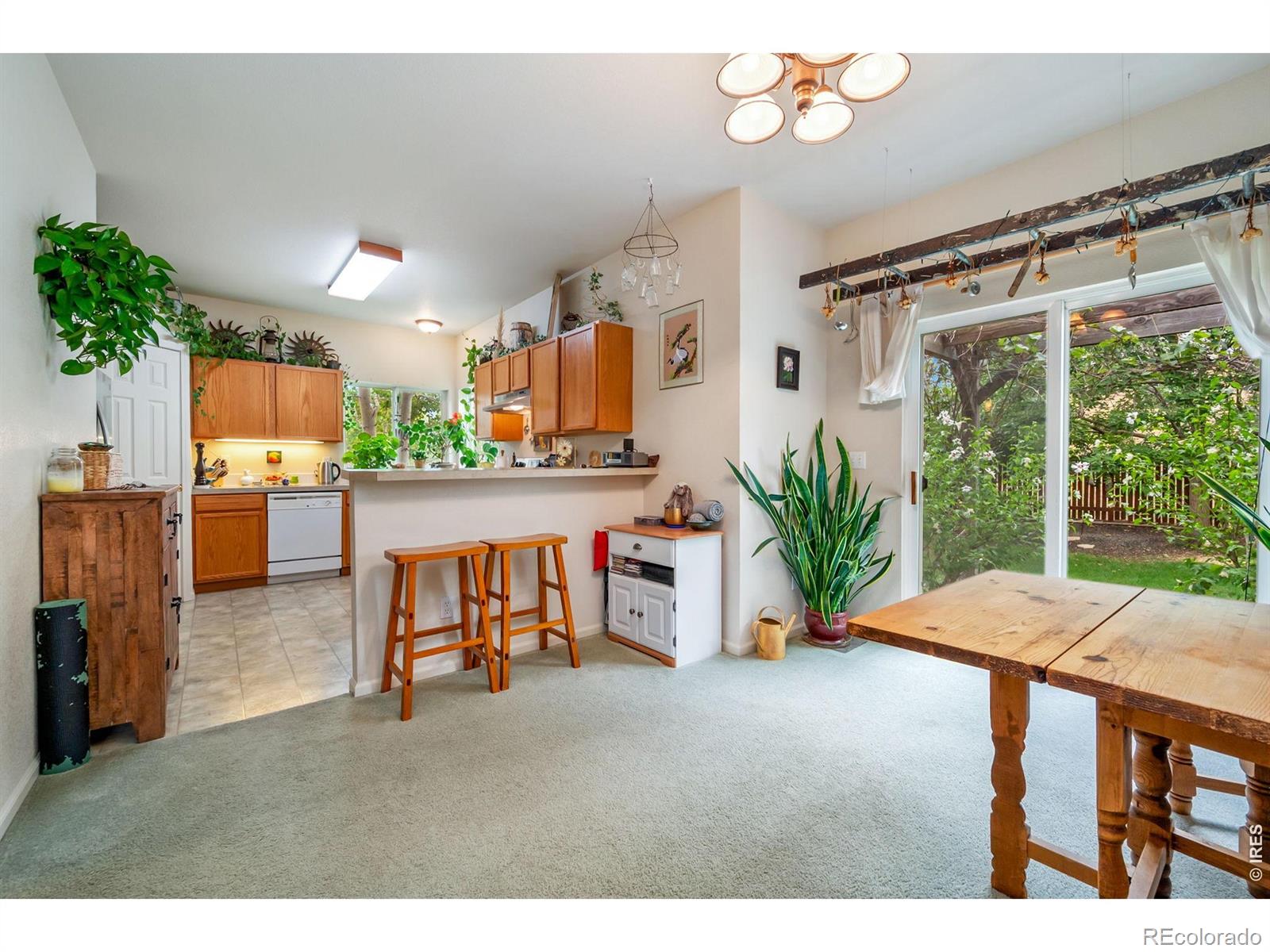 MLS Image #5 for 4153  divide drive,loveland, Colorado