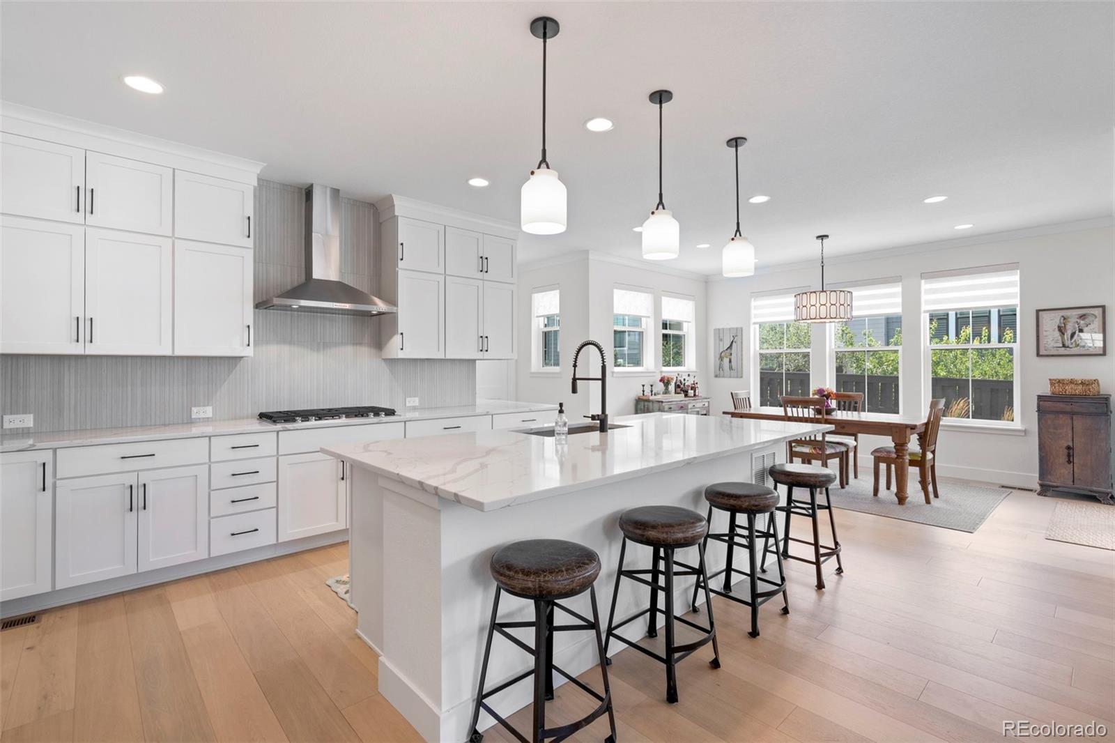 MLS Image #6 for 11261  moonshimmer street,littleton, Colorado