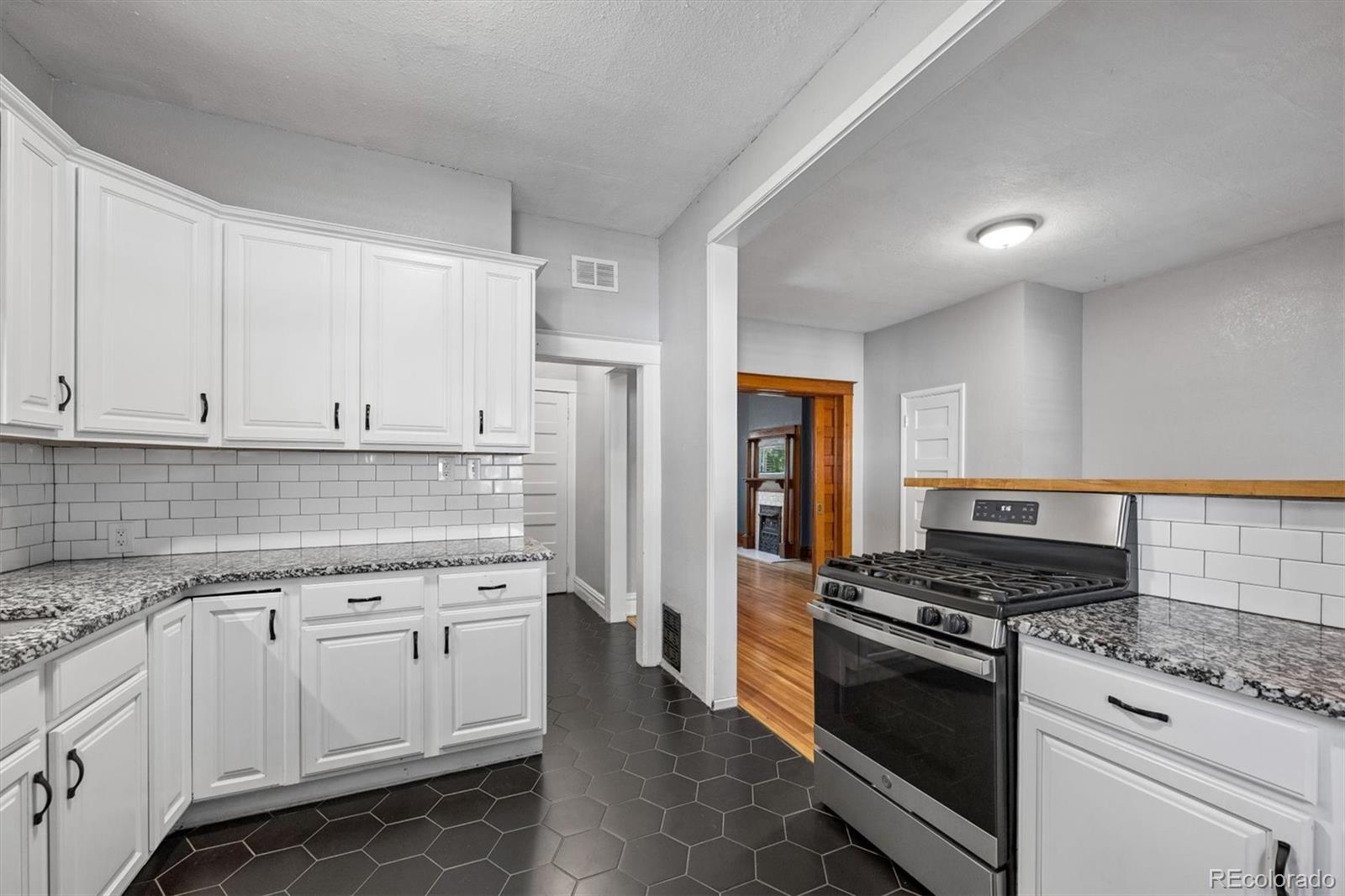 MLS Image #11 for 1139 n downing street,denver, Colorado