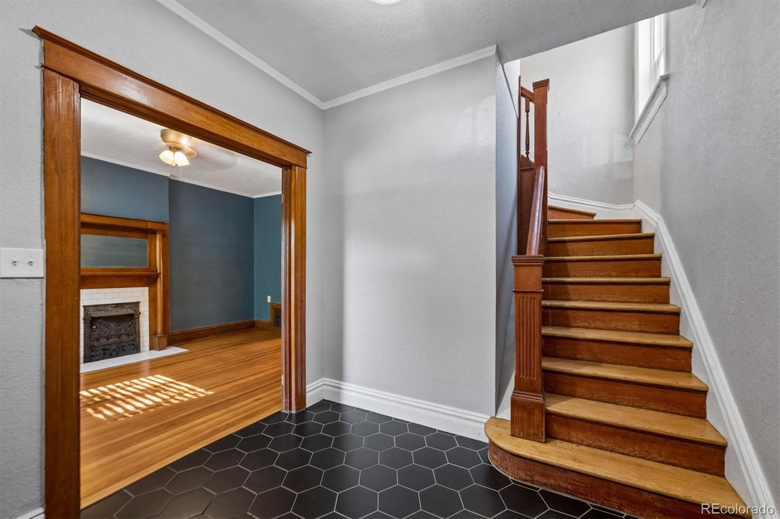 MLS Image #4 for 1139 n downing street,denver, Colorado