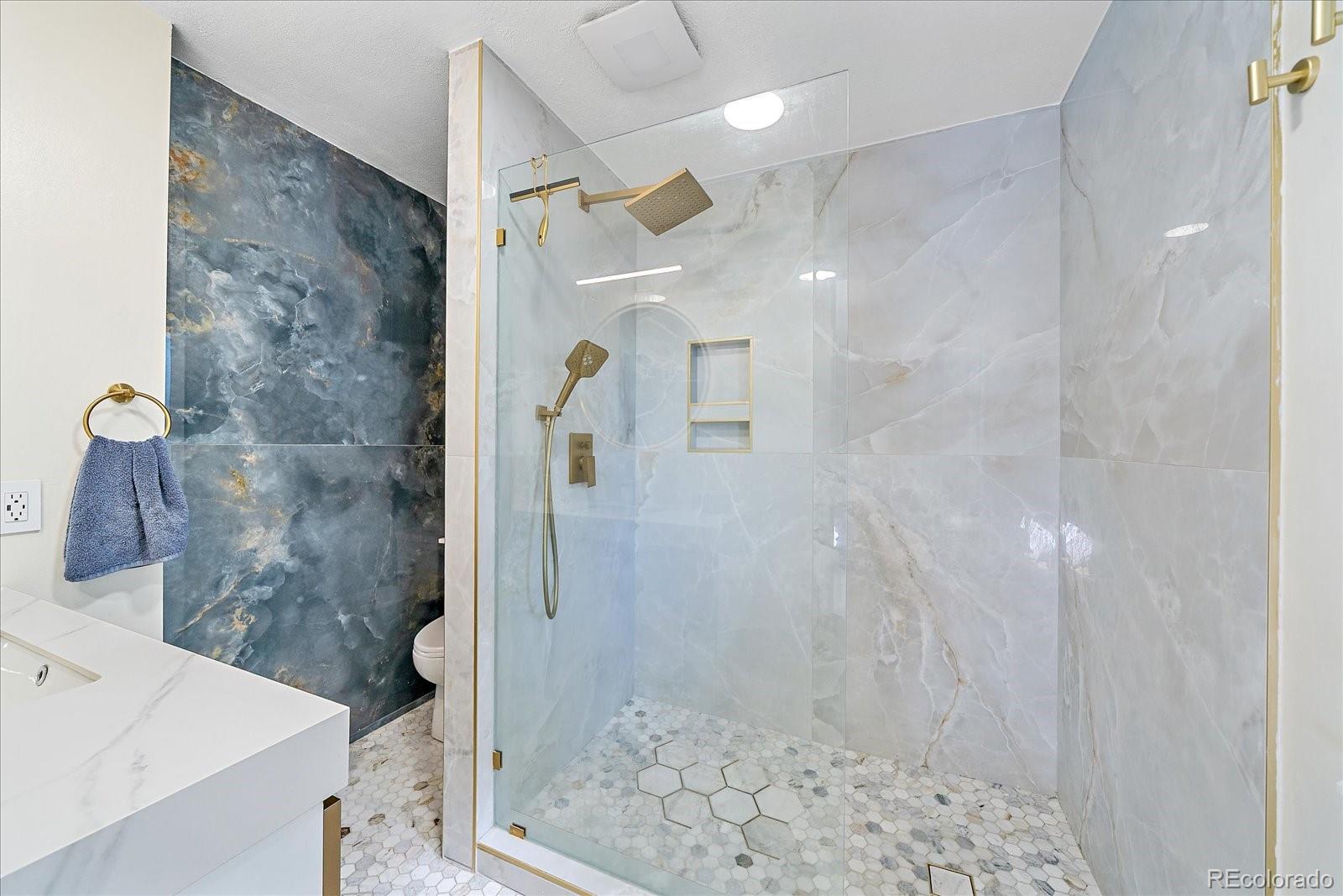 MLS Image #11 for 1809 s van gordon court,denver, Colorado