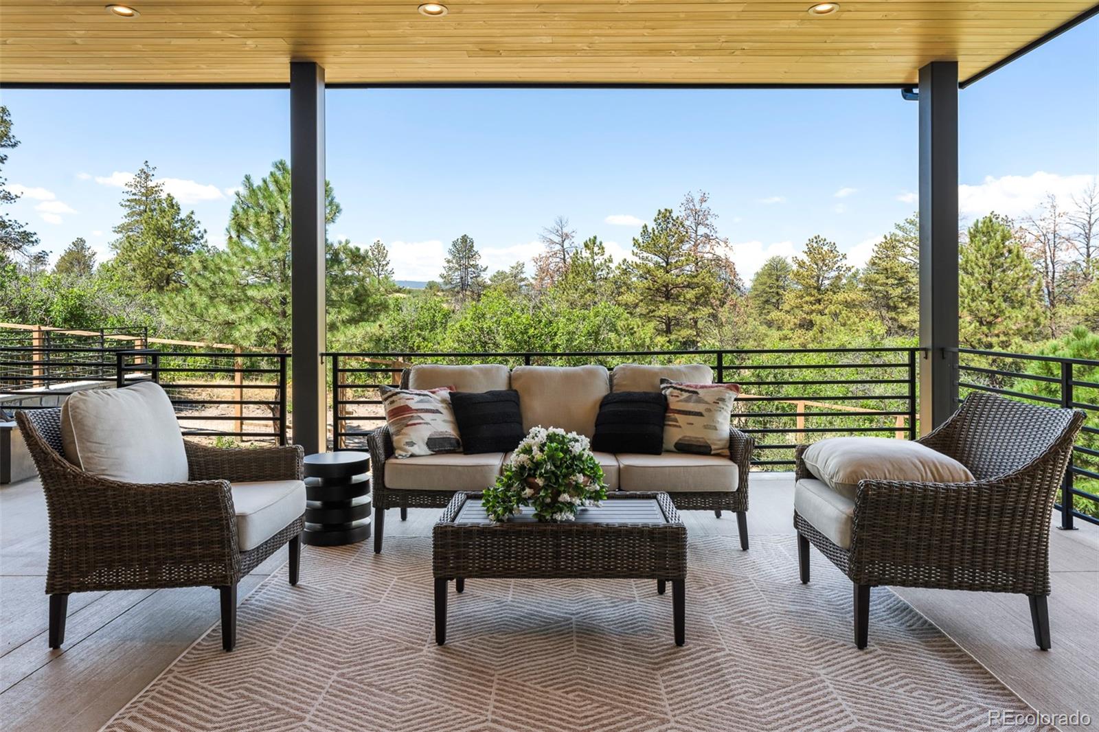 MLS Image #19 for 2408  keep drive,sedalia, Colorado