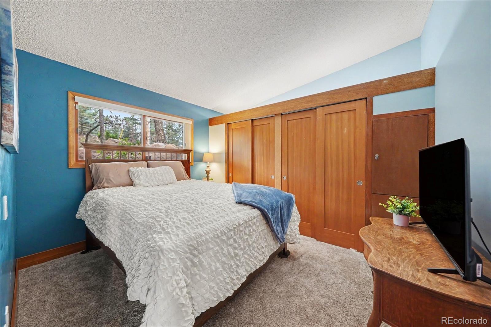 MLS Image #17 for 745  timber valley road,colorado springs, Colorado