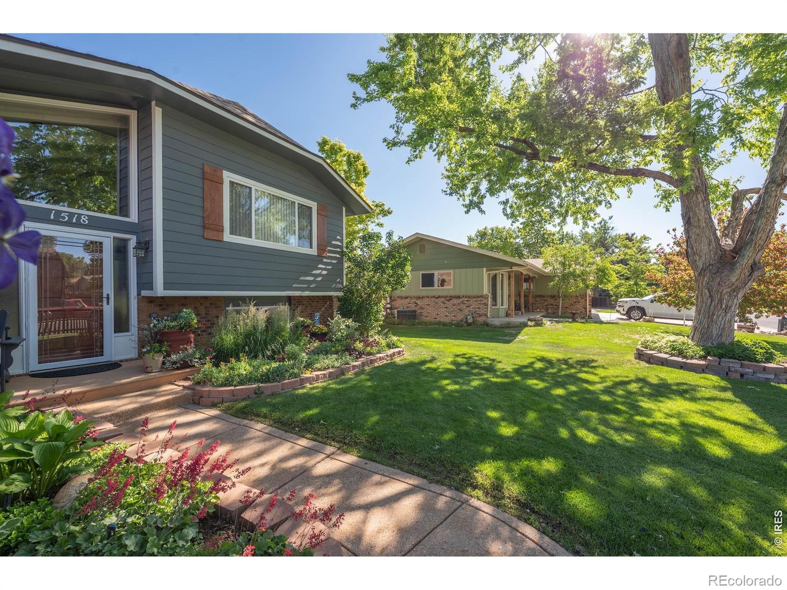 MLS Image #4 for 1518  peterson place,longmont, Colorado